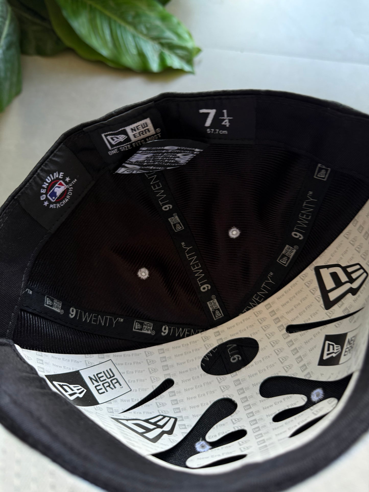 LA FITTED CAP