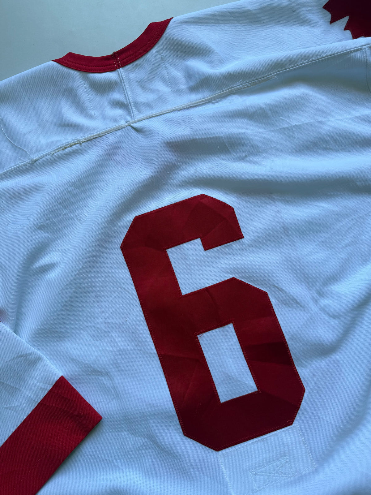 VINTAGE SP HOUNDS SIGN HOCKEY JERSEY