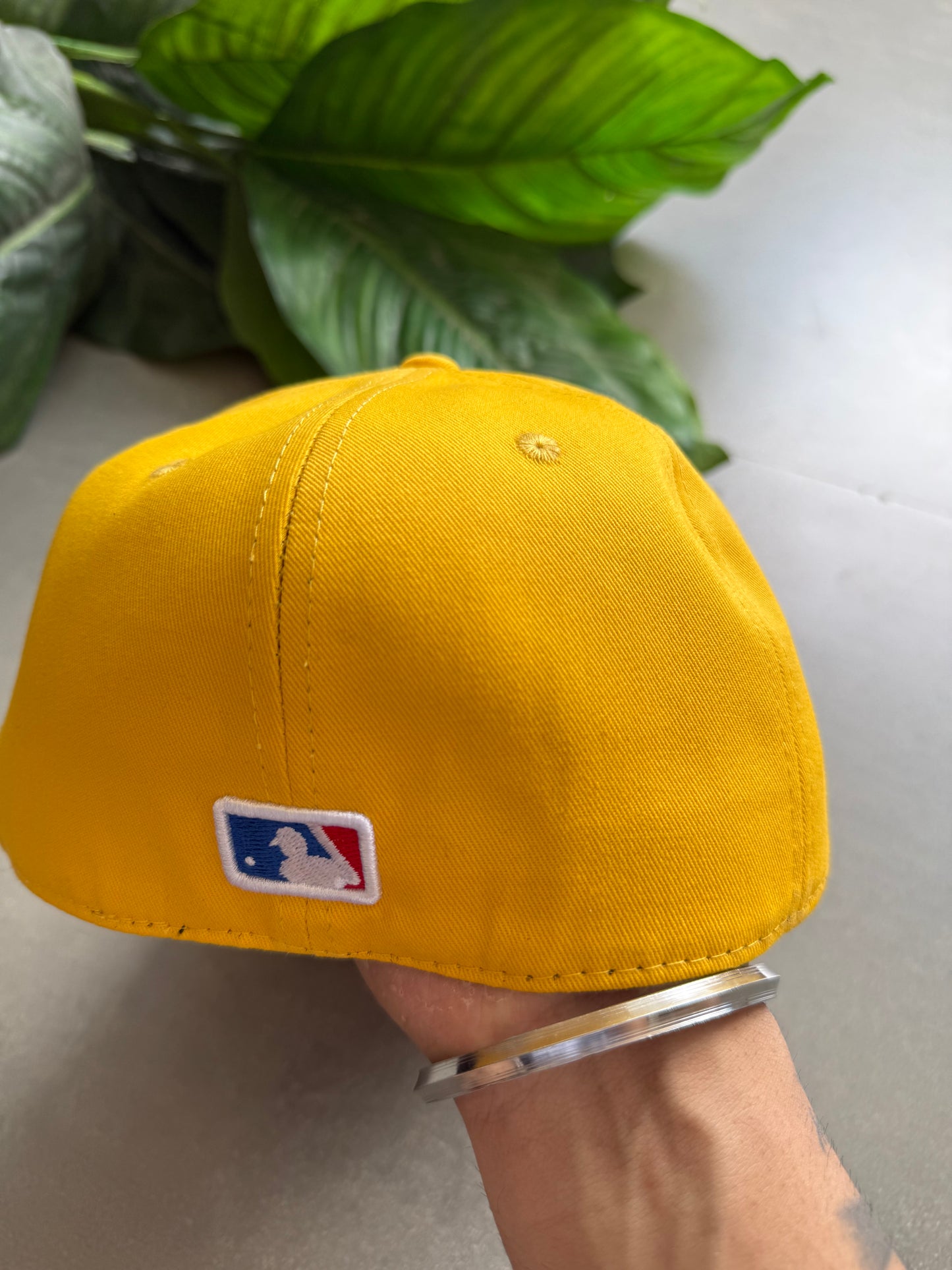 LA FITTED CAP