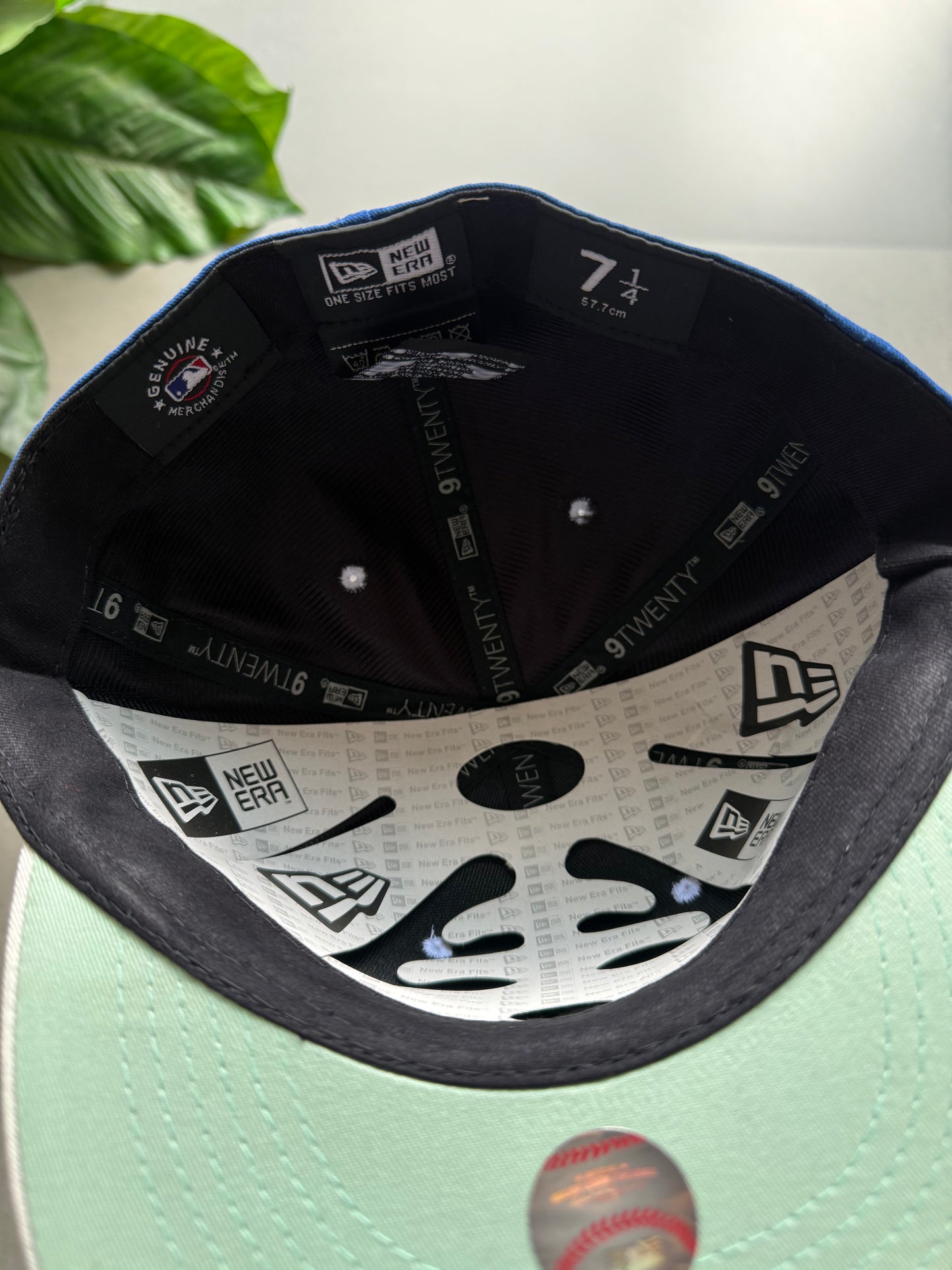 LA FITTED CAP