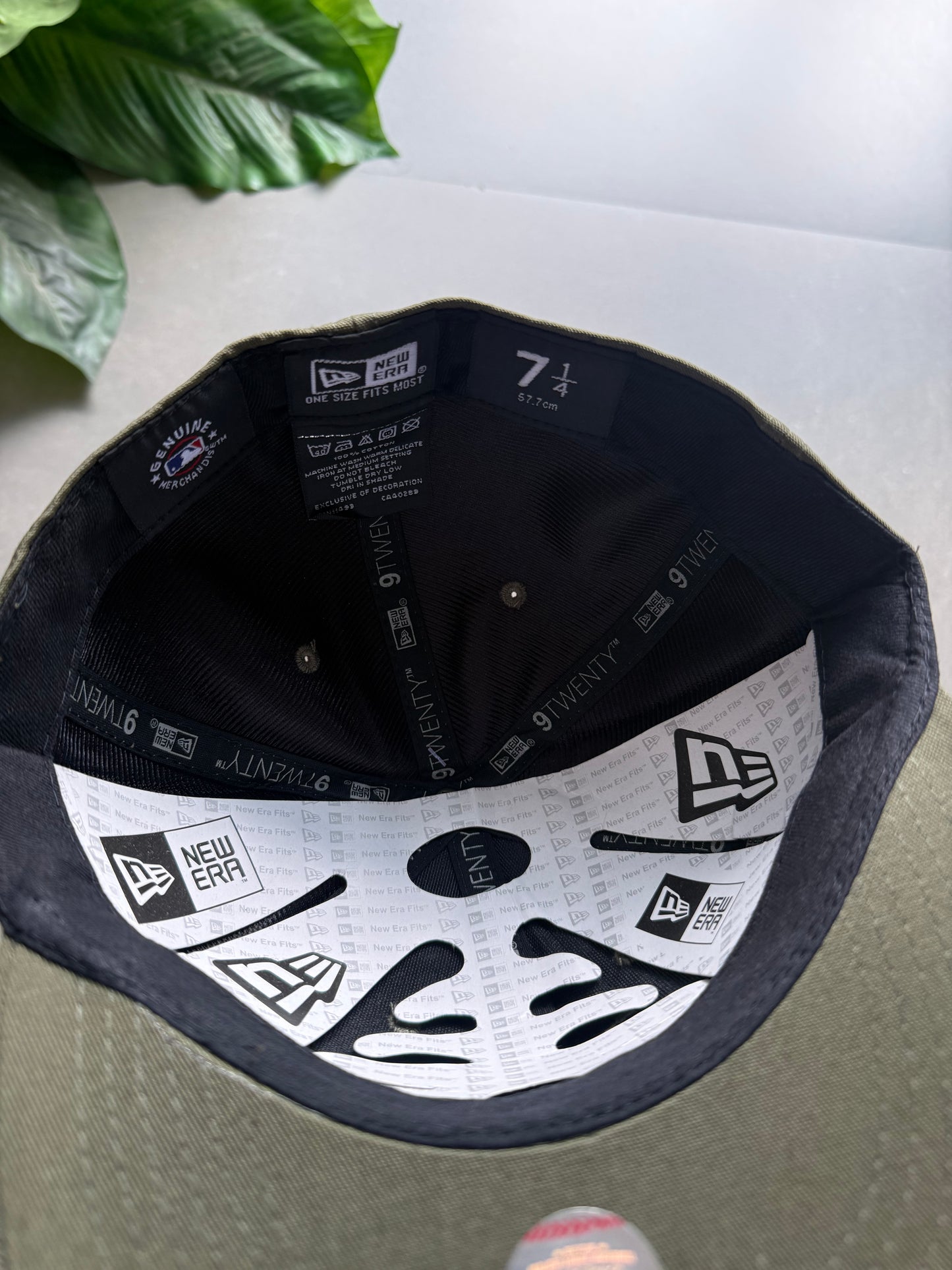 LA FITTED CAP