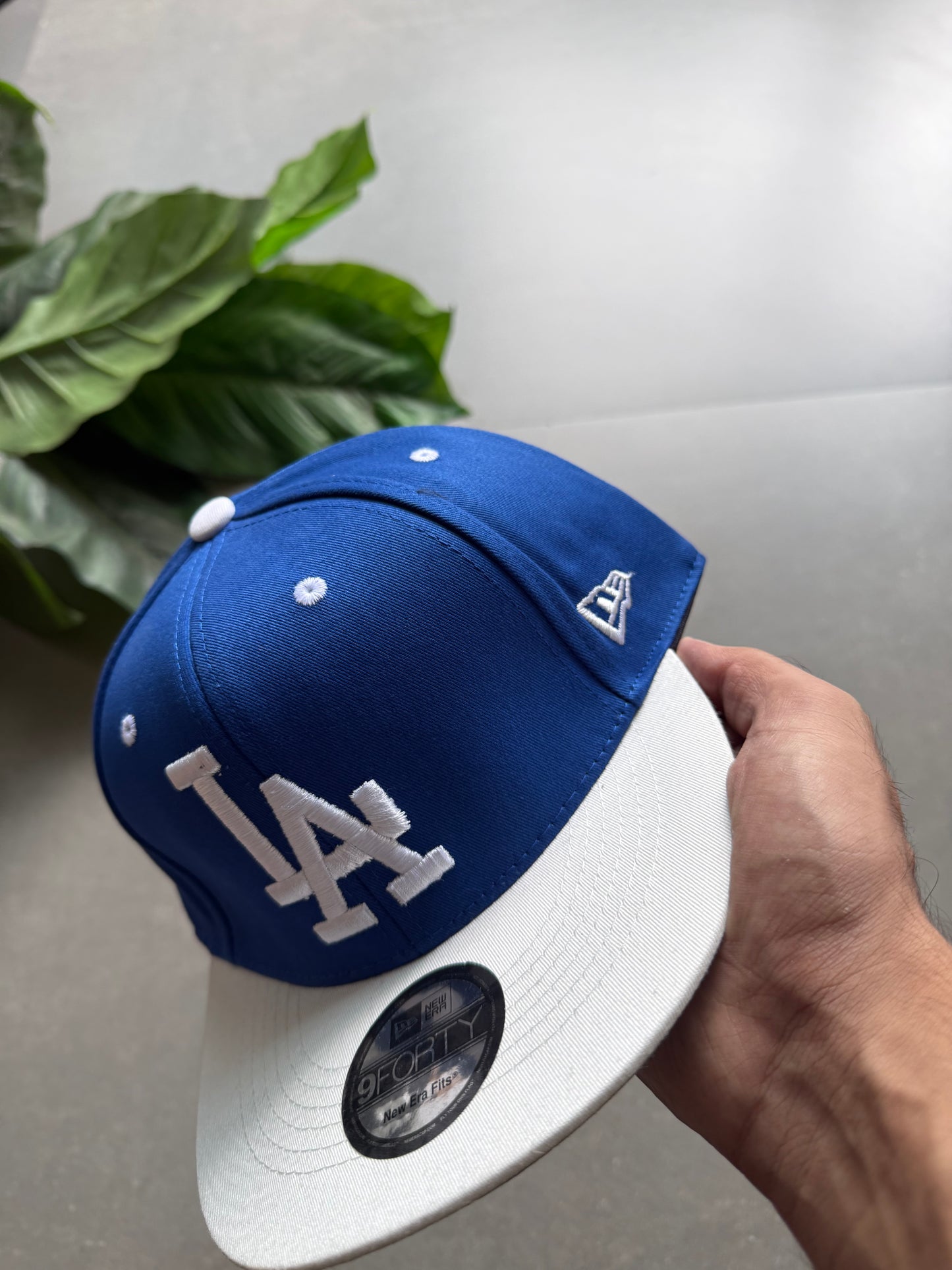 LA FITTED CAP