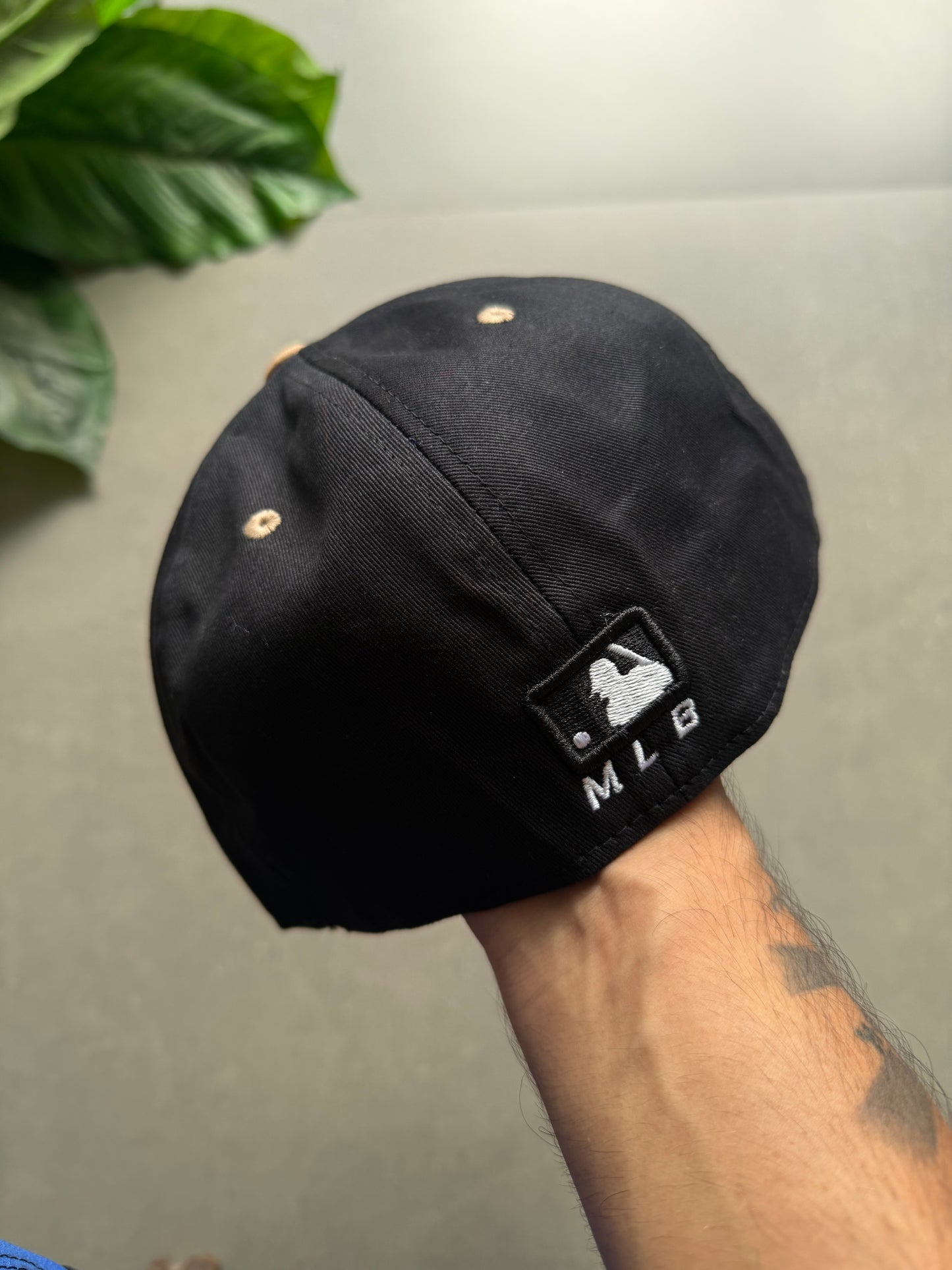 LA FITTED CAP