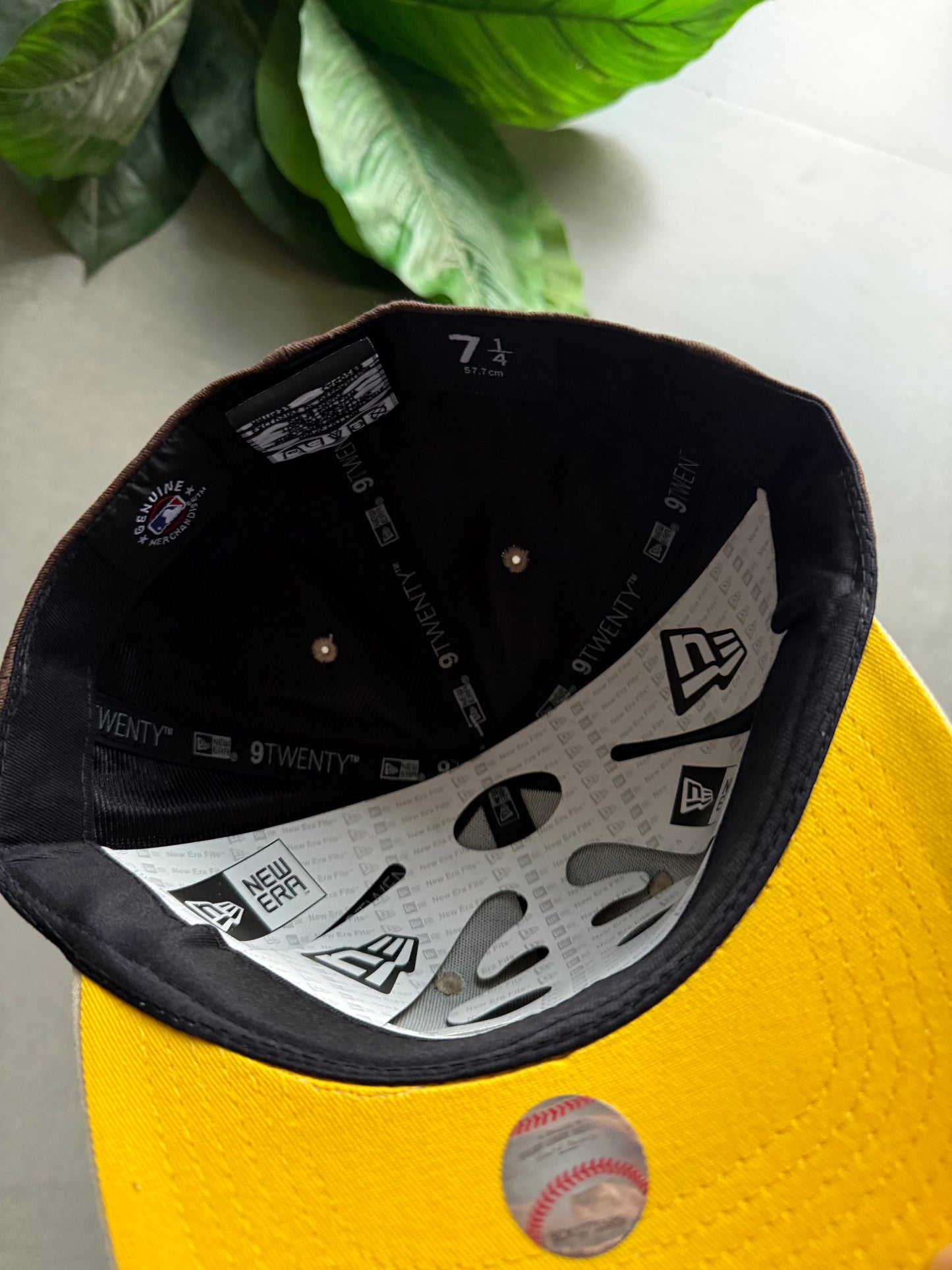 LA FITTED CAP