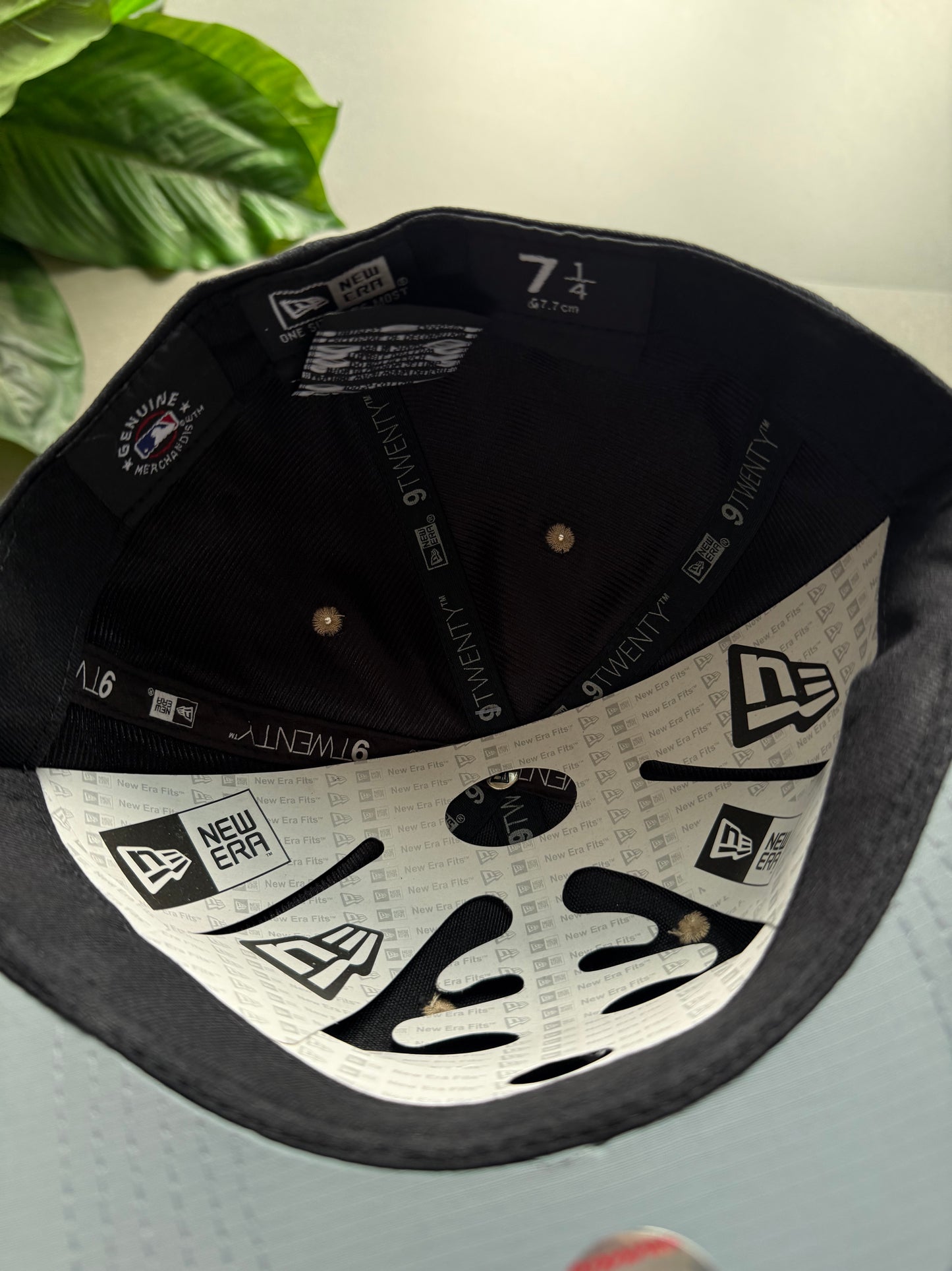 LA FITTED CAP