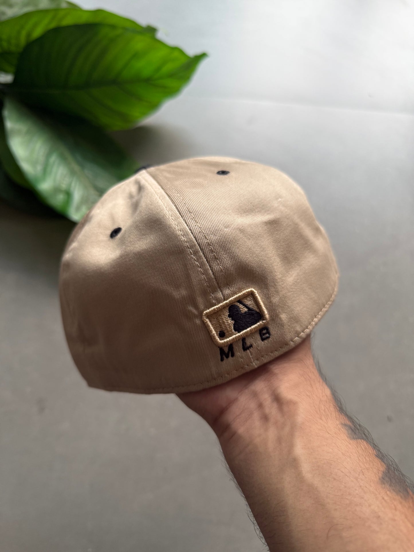 LA FITTED CAP