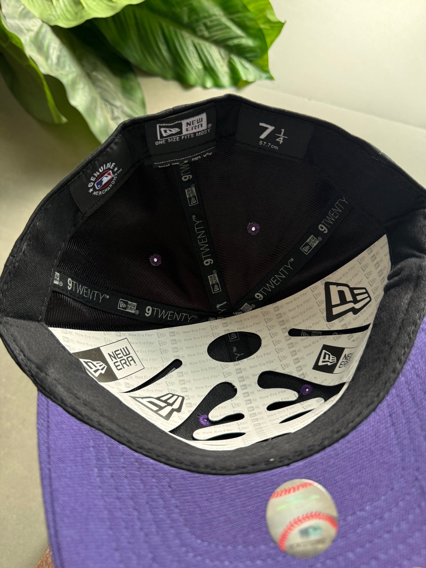 LA FITTED CAP